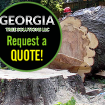 Georgia Tree Solutions Group - Call Today: (912) 202-1387 - Tree Services Near Me - Savannah, Georgia