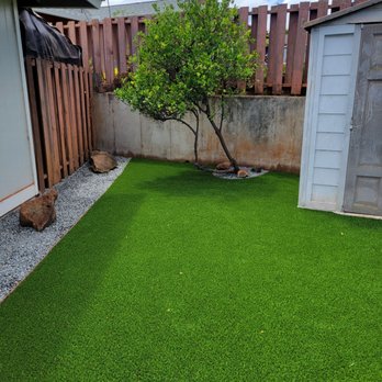 Island Green - Another calamansi tree looking stellar with the green synthetic grass. - Landscaping Near Me