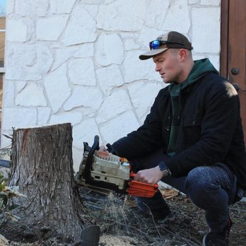 Forged Tree Service - Tree Services Near Me Forged Tree Service - Tree Services Near Me