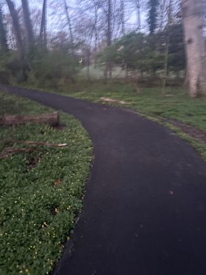 Foxstone Park by null