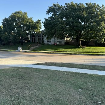 Big Gorilla Tree Service - Before services . - Tree Services Near Me - Lewisville, Texas Big Gorilla Tree Service - Before services . - Tree Services Near Me - Lewisville, Texas
