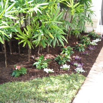 Boca Delray Plants - Landscaping Near Me - Delray Beach, Florida