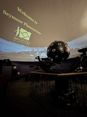 Springfield Museums by null