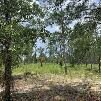 Alexander Springs - Campgrounds Near Me - Altoona, Florida Alexander Springs - Campgrounds Near Me - Altoona, Florida