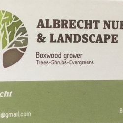 Albrecht Nursery and Landscaping - Boxwood grower