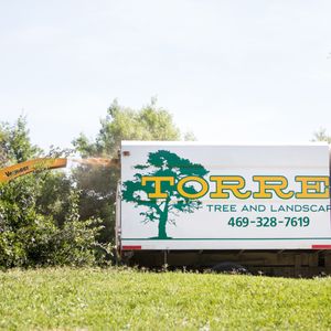 AFFORDABLE TREE CARE - 36 Photos & 19 Reviews - 13904 Josey Ln, Dallas ...