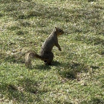 Tewinkle Park - Thing #1 - Parks Near Me - Costa Mesa, California