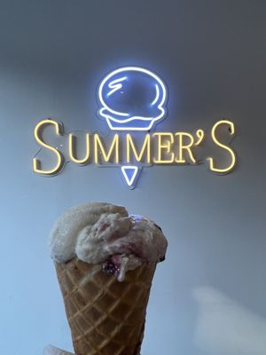 Summer's Ice Cream by null