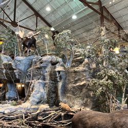 Bass Pro Shops - Inside