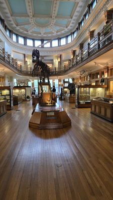 Redpath Museum by null