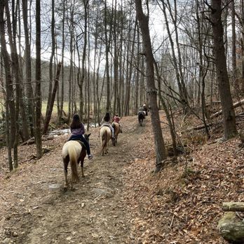 Trackrock Stables - Horseback Riding Near Me - Blairsville, Georgia Trackrock Stables - Horseback Riding Near Me - Blairsville, Georgia