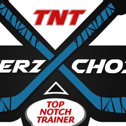 Playerz Choice Hockey