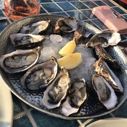 The Culpeper - Rock oysters