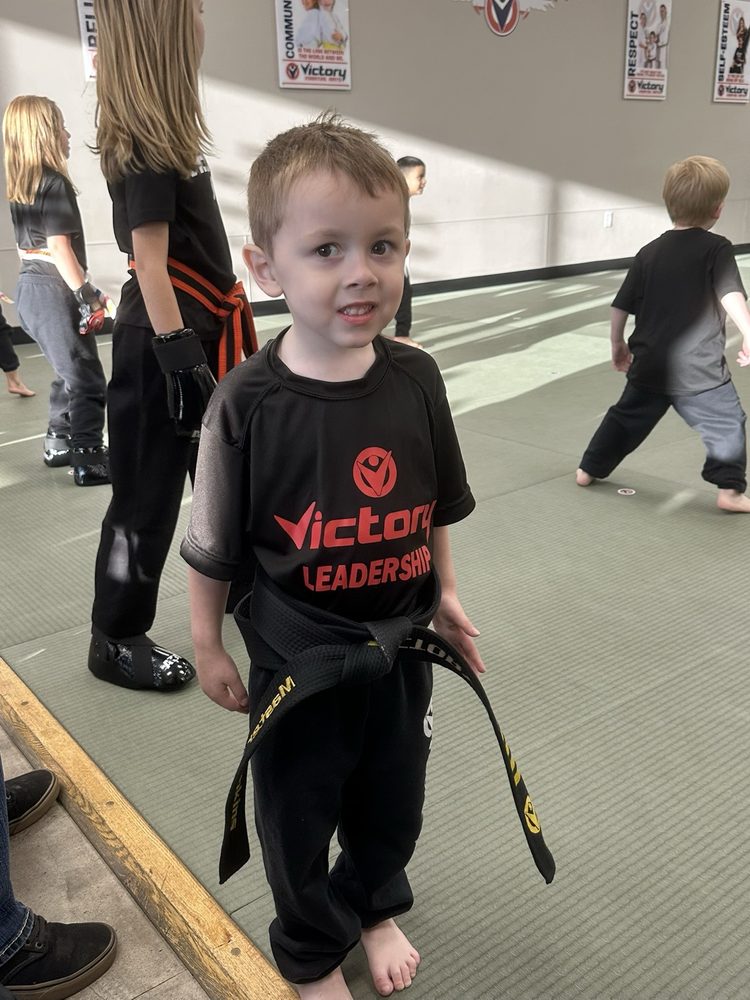 Victory Martial Arts Logo