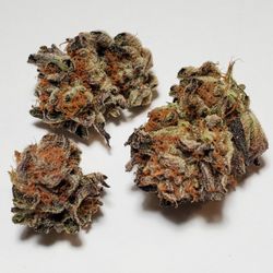 Secret Stash Xpress