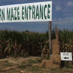 Sand Mountain Pumpkin Patch and Corn Maze