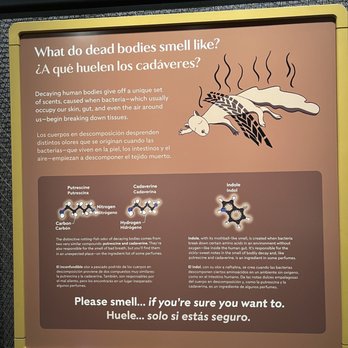 Field Museum - Smell the chemicals of decomp - Museums Near Me - Chicago, Illinois