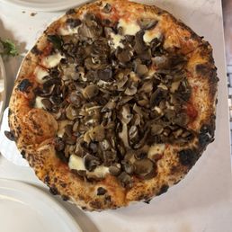 Funghi Funghi