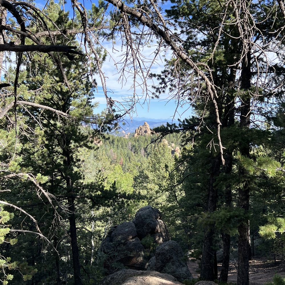 Devils Head Fire Tower - Looking between the trees on the hike up. - Hiking Near Me - Sedalia, Colorado