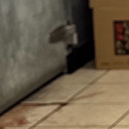 Blood coming from the refrigerator