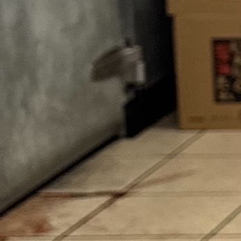 Chicago Ramen Lab - Blood coming from the refrigerator - Ramen Near Me - Rolling Meadows, Illinois