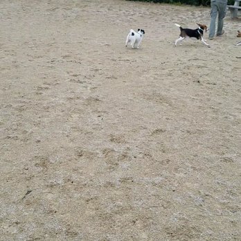 Little Bay Dog Run - Dog Parks Near Me - Bayside, New York