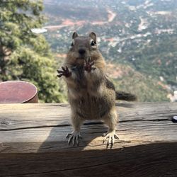 Manitou Incline - Cheerleaders