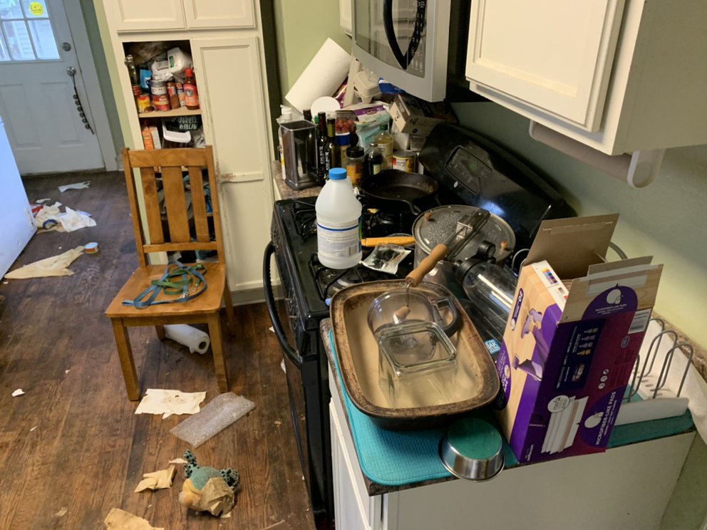 CLEARWATER CLEANERS Updated August 2024 28 Photos Akron, Ohio Pressure Washers Phone