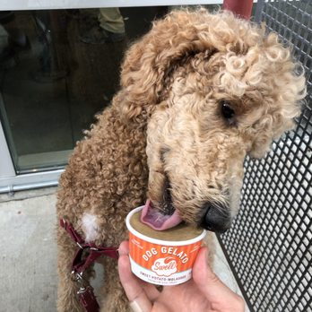 All The Best Pet Care - Pet Stores Near Me - Redmond, Washington