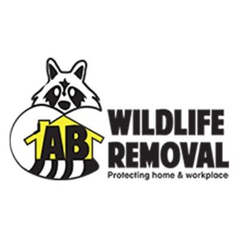 AB Wildlife Removal - Wildlife Control Near Me - Madison, Alabama AB Wildlife Removal - Wildlife Control Near Me - Madison, Alabama