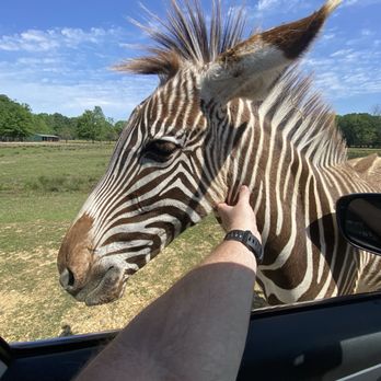 Alabama Safari Park - Zoos Near Me - Hope Hull, Alabama