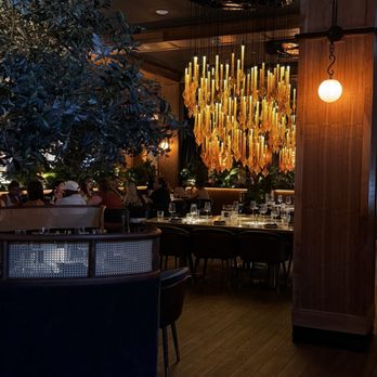V Modern Italian - Italian Near Me - Charleston, South Carolina V Modern Italian - Italian Near Me - Charleston, South Carolina