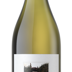 Barnello Winery - Chardonnay
