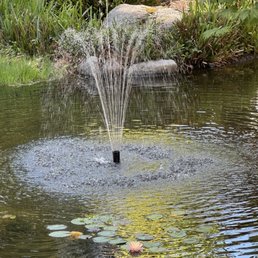 Tranquil setting