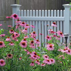 Austin Ganim Landscape Design, LLC