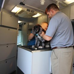 Crossroads Veterinary Hospital