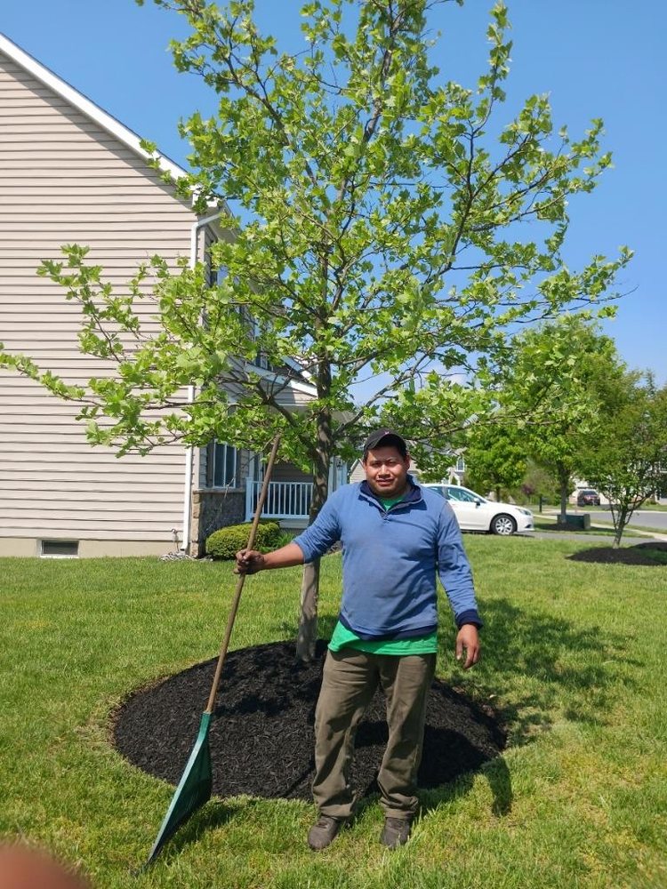 THE GREENERY LANDSCAPING Wilmington Manor, Delaware Landscaping