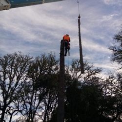Criss Tree Care - Travis Criss