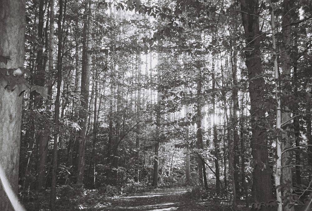 RAPID PHOTO IMAGING CENTER INC Updated September 2024 1137 S