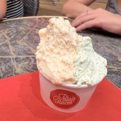 Le Palais des Glaces - Melon and Pineapple Basil Sorbet