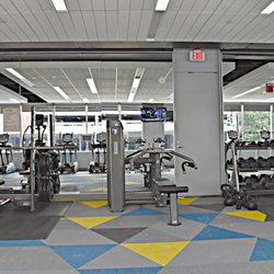 Elite Exercise Equipment - Commercial Gym by Elite Exercise Equipment