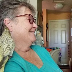 Nancy Burns Healing - Everyone feels better after Bioresonance. Diana overcame her allergies!