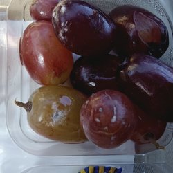 Farmers Country Market