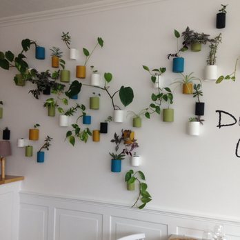 Ona - Vegan Near Me - Arès, 33 Ona - Vegan Near Me - Arès, 33