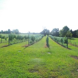 The Bluebird Ranch Winery