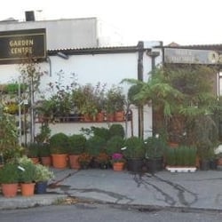 Oasis Florists - an oasis in the middle of terenure!?