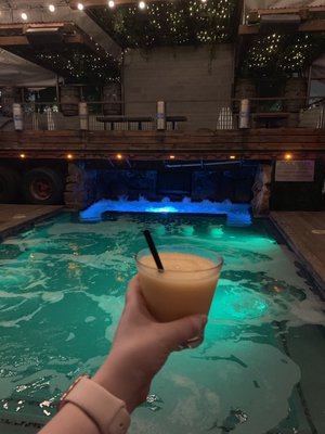 Whiskey Garden by null