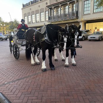 Threejays Carriages - Threejays Carriages at Highland Park Village - Transportation Near Me - Dallas, Texas