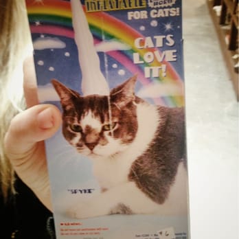 Hendley Market - Inflatable unicorn horn for cats - Antiques Near Me - Galveston, Texas Hendley Market - Inflatable unicorn horn for cats - Antiques Near Me - Galveston, Texas