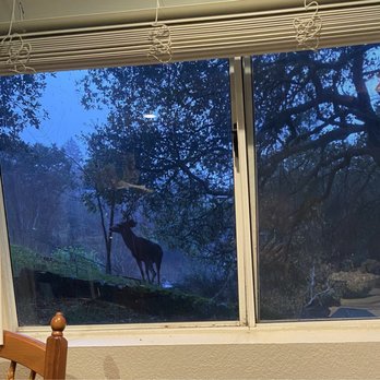 Fraser’s Perch - Frequent visitors - Vacation Rentals Near Me - Emerald Hills, California Fraser’s Perch - Frequent visitors - Vacation Rentals Near Me - Emerald Hills, California